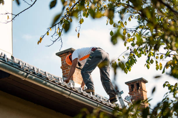 Best Local Roofing Companies  in Genesee, ID