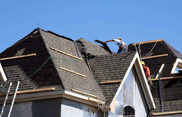 Best Roof Gutter Cleaning  in Genesee, ID